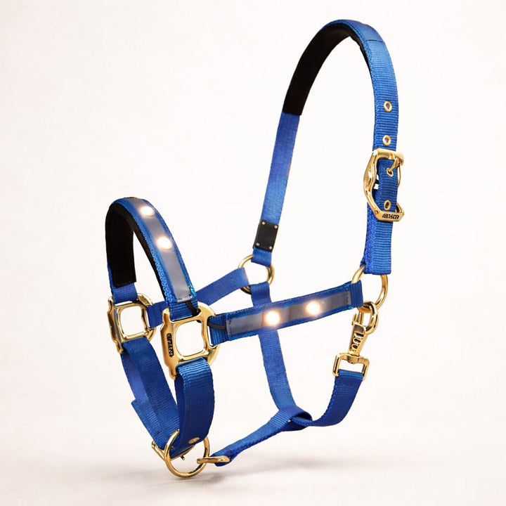 Reinecke Equestrian Premium Leuchthalfter Reflexhalfter Sicherheitshalfter Stallhalfter Weidehalfter
