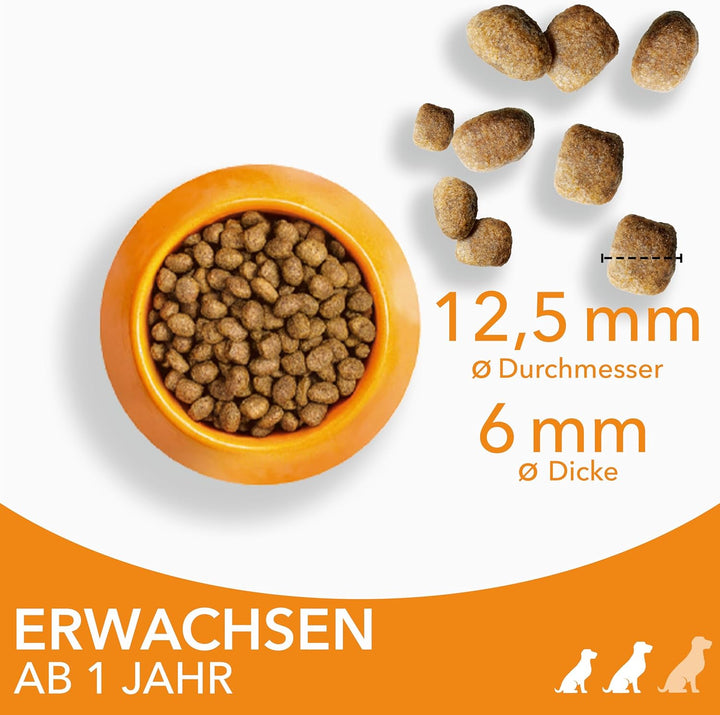 IAMS for Vitality Hundefutter trocken Huhn - Trockenfutter für erwachsene Hunde ab 1 Jahr, geeignet