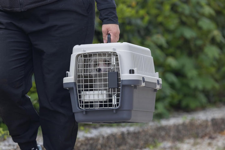 Karlie Flugzeugbox Nomad L: 51 cm B: 33.5 cm H: 33 cm XS < 5,00 kg Frontloader Gr. XS - L: 51 cm B: