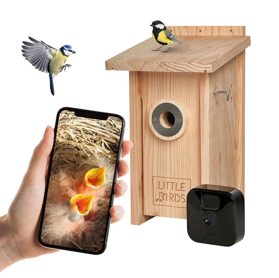 Little Birds Kamera Nistkasten für „Blink“ Kamera (Kamera Nicht ENTHALTEN) I ökologisches Massivholz