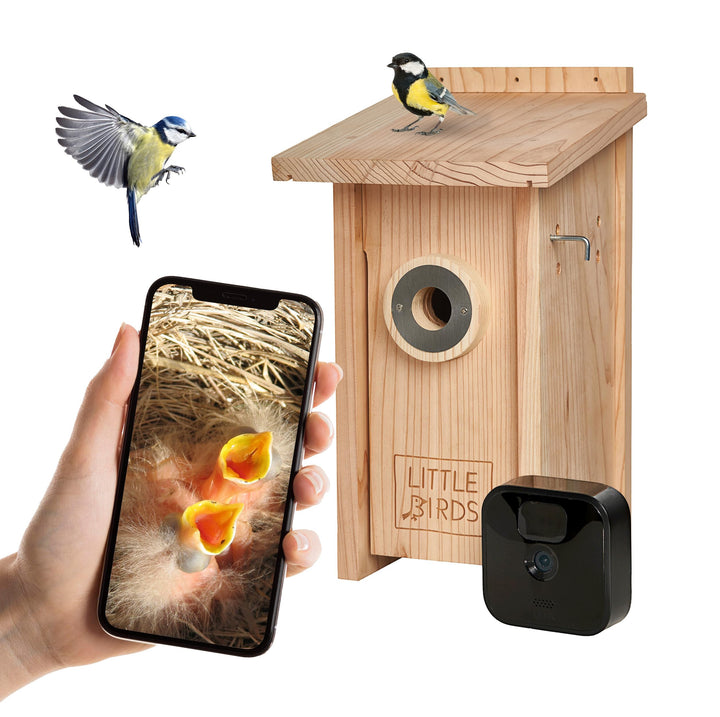 Little Birds Kamera Nistkasten für „Blink“ Kamera (Kamera Nicht ENTHALTEN) I ökologisches Massivholz