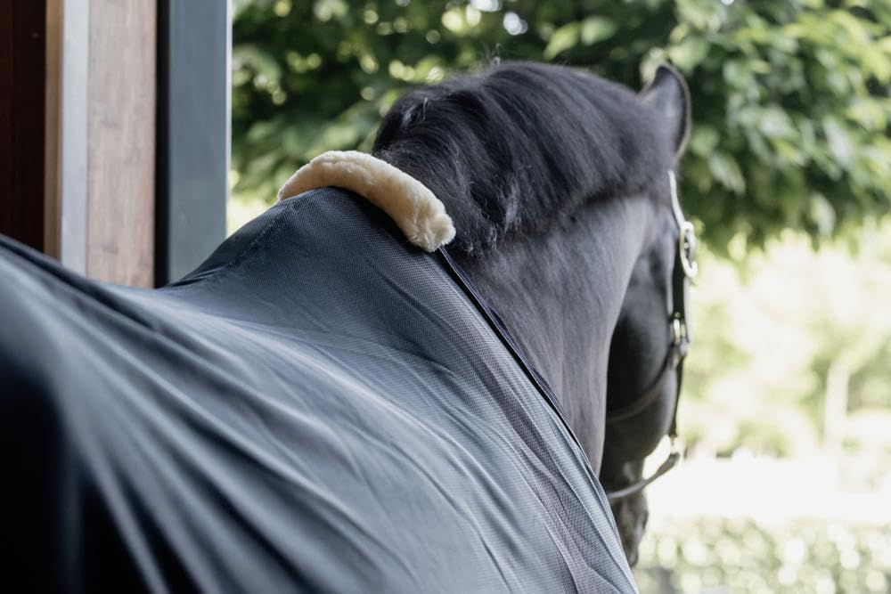 Kentucky Horsewear Mesh Fly Sheet - Navy