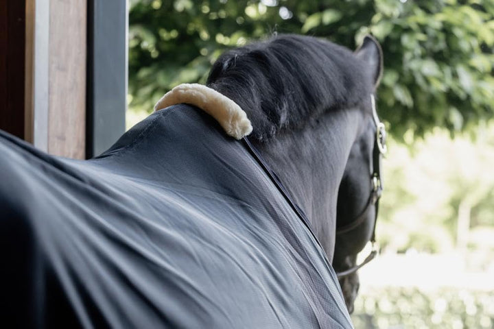 Kentucky Horsewear Mesh Fly Sheet - Navy