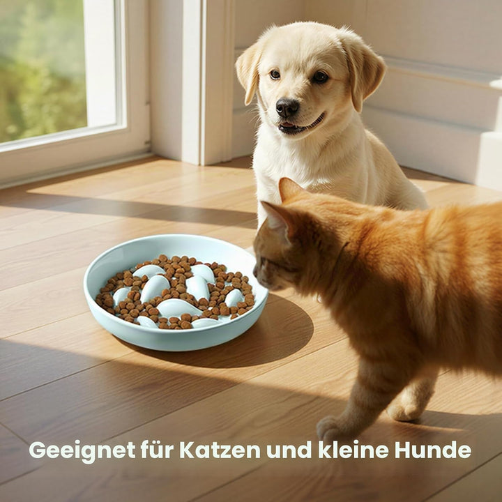 PETTOM Anti Schling Napf Katzen Keramik, Slow Feeder Katze Nassfutter, Langsam Fütterung Katzennapf,