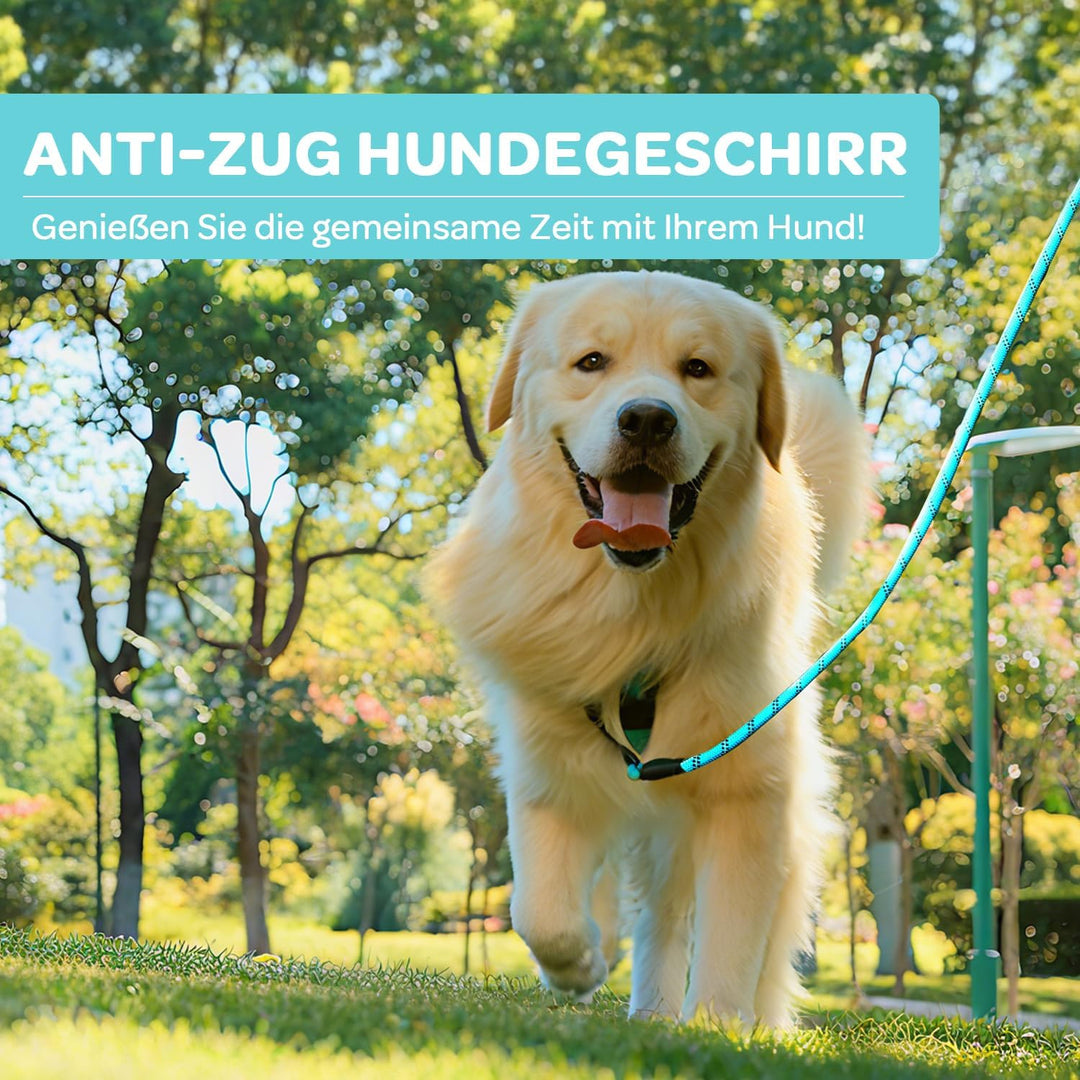 FURRYFECTION Hundegeschirr mit Einfache Kontrolle Griff, ausbruchsicher für kleine, mittlere und gro