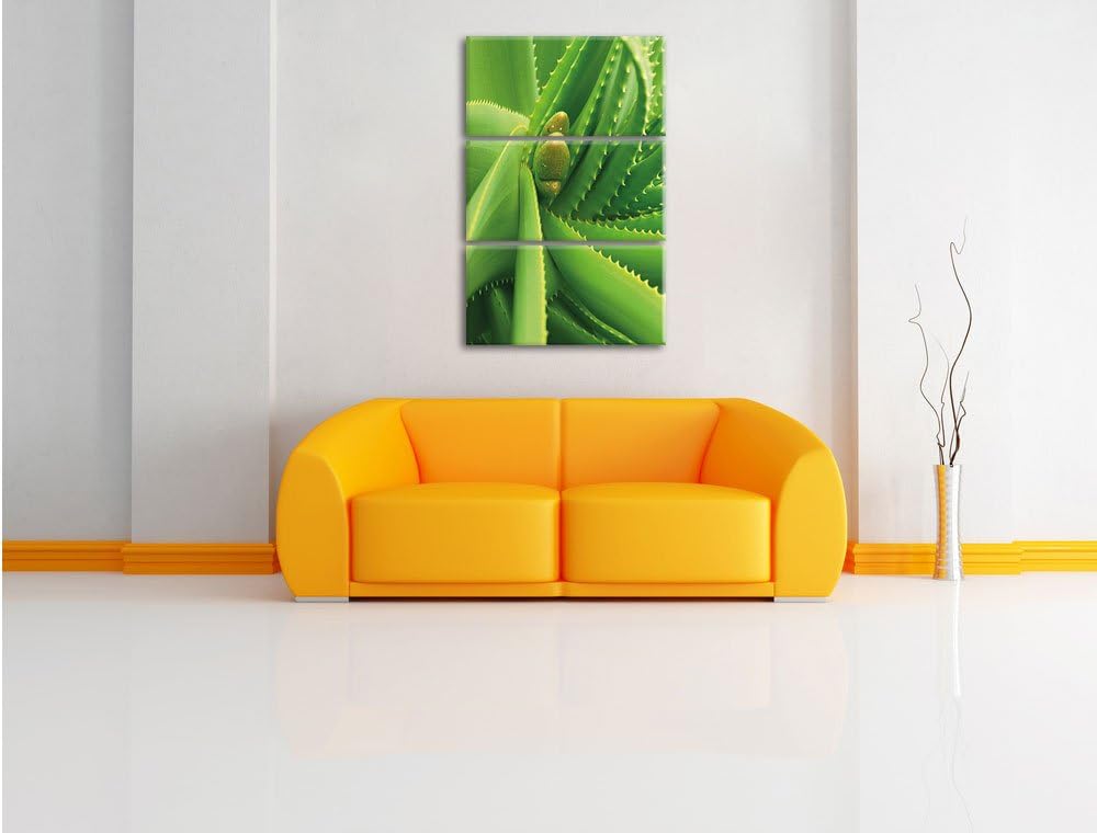 Pixxprint Aloe Vera als Leinwandbild/Grösse: 3 Teilig (120x80) cm/Wandbild/Kunstdruck/fertig bespann