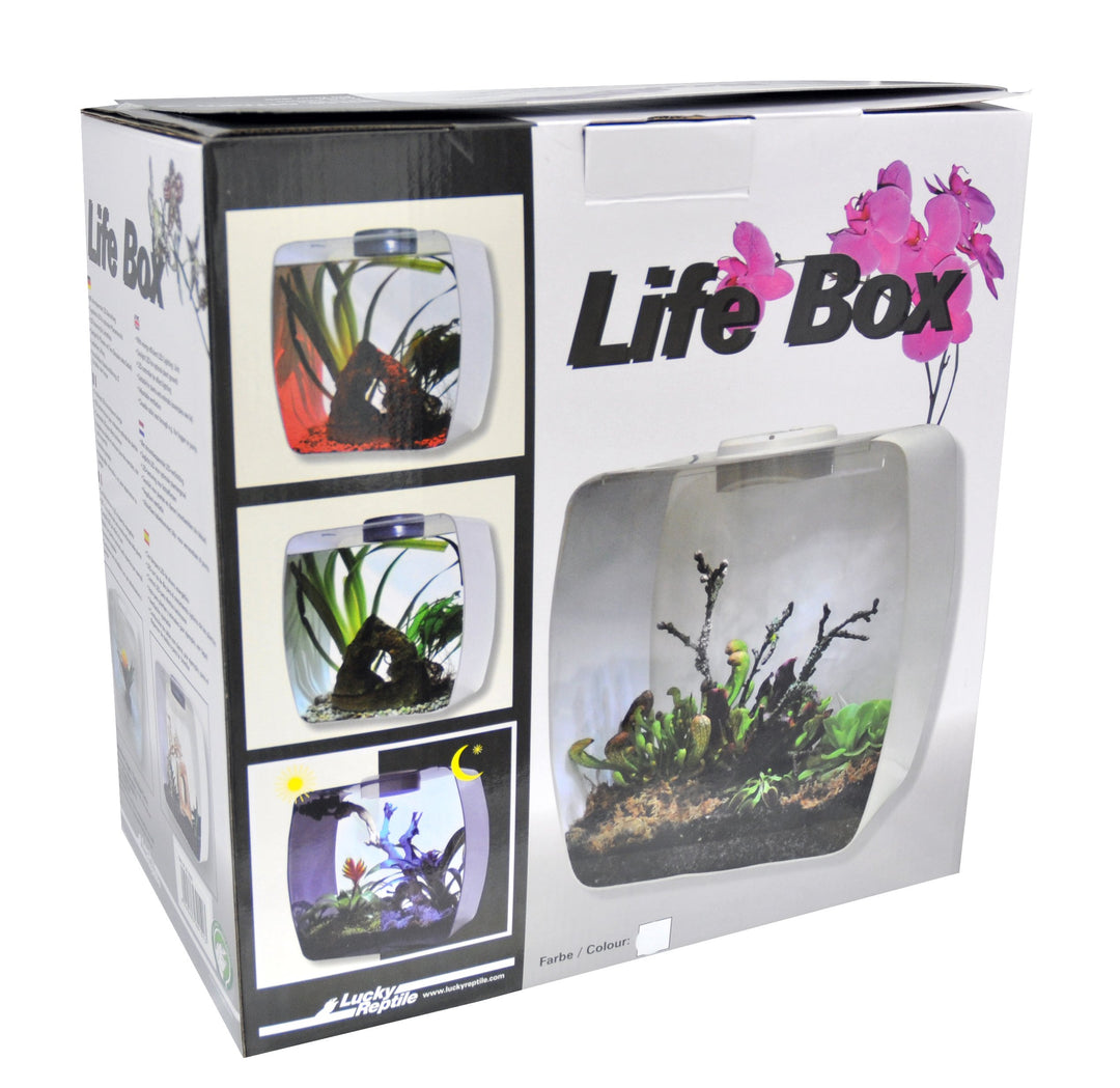Lucky Reptile LB-30W Life Box 30 Designterrarium aus Acrylglas, weiss weiss klein, weiss klein