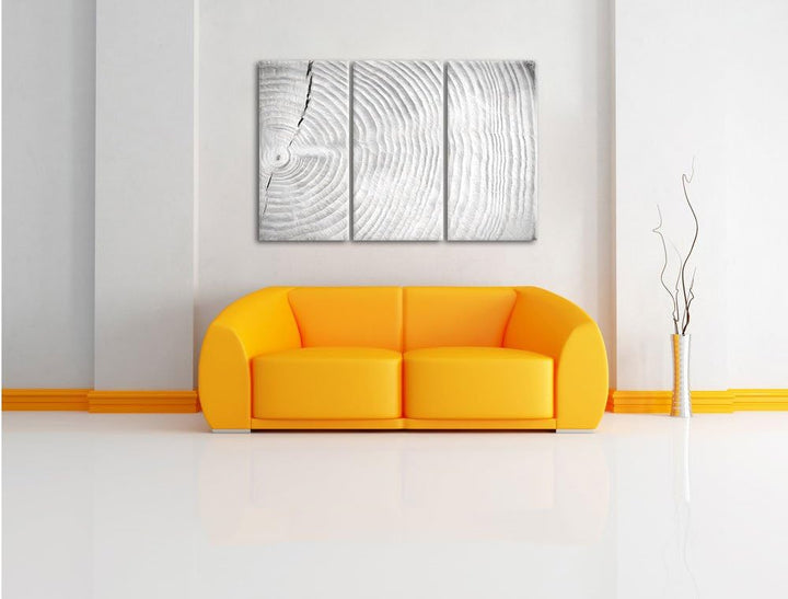 Pixxprint Baumstamm Jahresringe als Leinwandbild/Grösse: 3 Teilig (120x80) cm/Wandbild/Kunstdruck/fe
