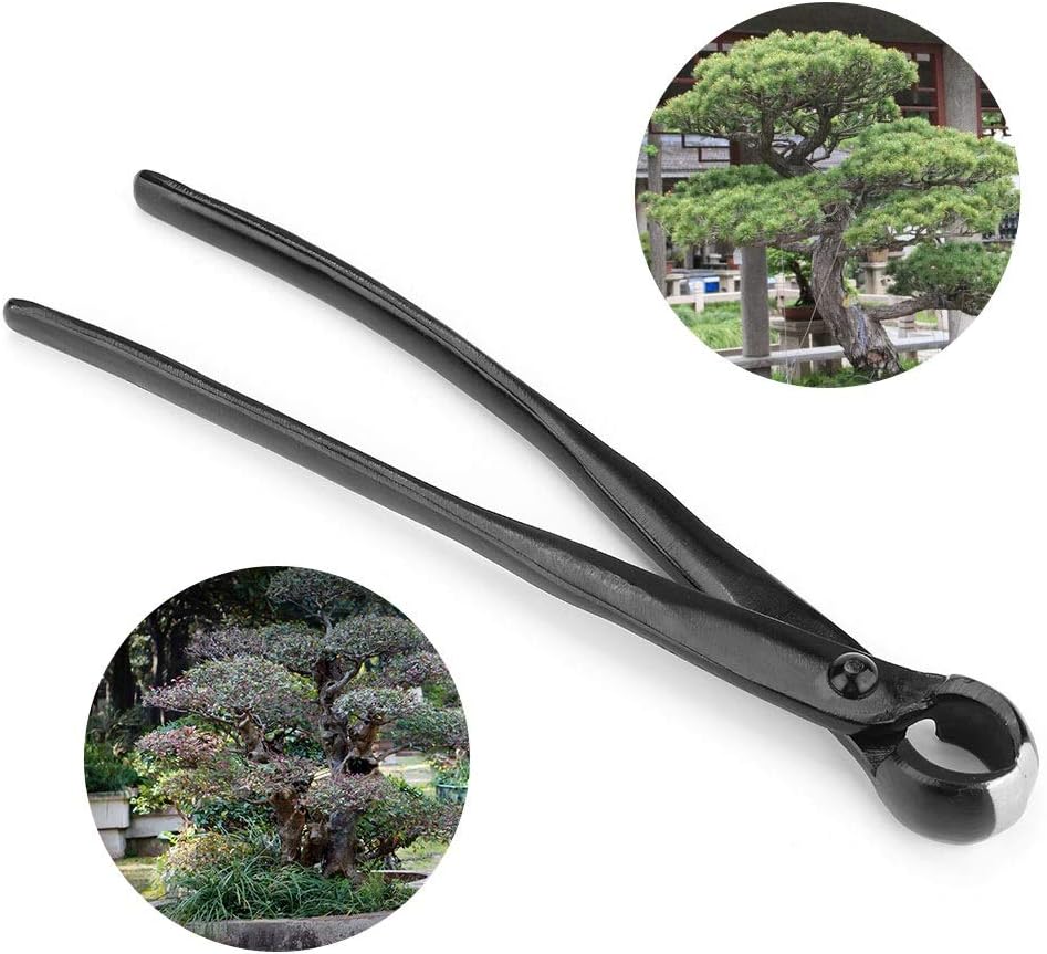 Vobor konkaver Schneider, Bonsai Knospenzange 2.1cm, Bonsai-Werkzeuge Gartenarbeit, Garten Bonsai Sc