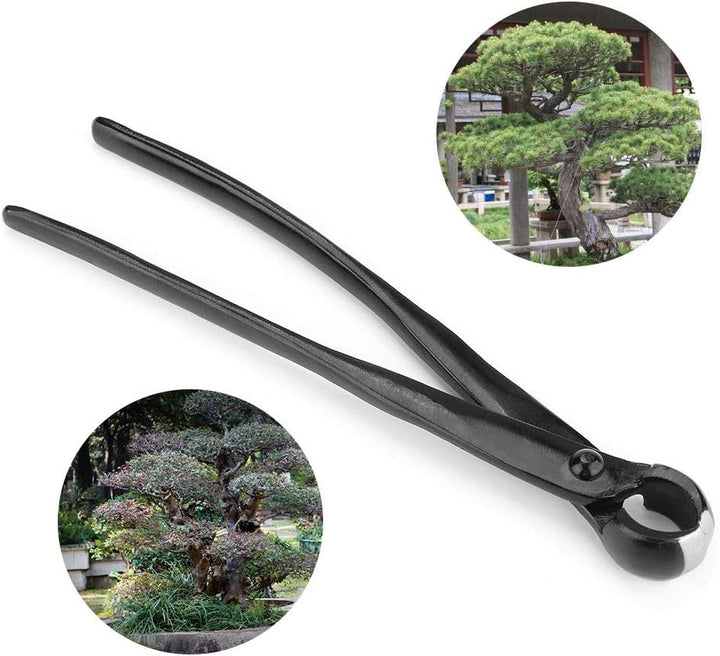 Vobor konkaver Schneider, Bonsai Knospenzange 2.1cm, Bonsai-Werkzeuge Gartenarbeit, Garten Bonsai Sc