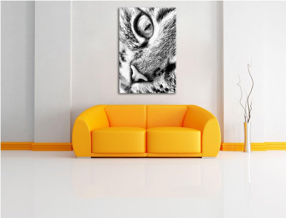 Pixxprint Grosse Katzenaugen / 100x70cm Leinwandbild bespannt auf Holzrahmen/Wandbild Kunstdruck Dek