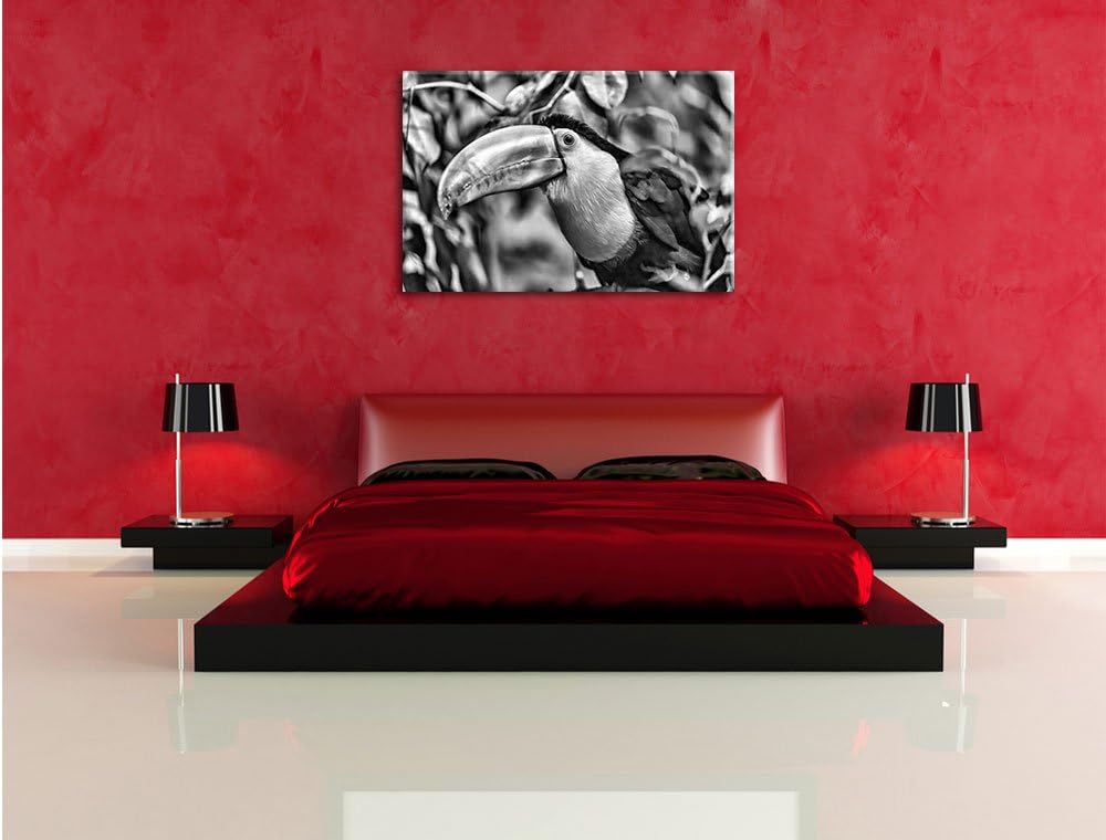 Pixxprint farbenfroher Fischertukan als Leinwandbild/Grösse: 100x70 / Wandbild/Kunstdruck/fertig bes