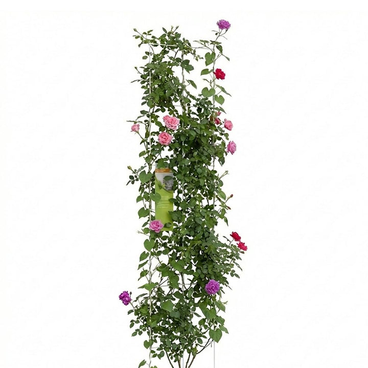 Gitterspalier Metall 150 x 60 cm Rankhilfe grün, Kletterhilfe für Pflanzen, Rosen & Rankpflanzen, in