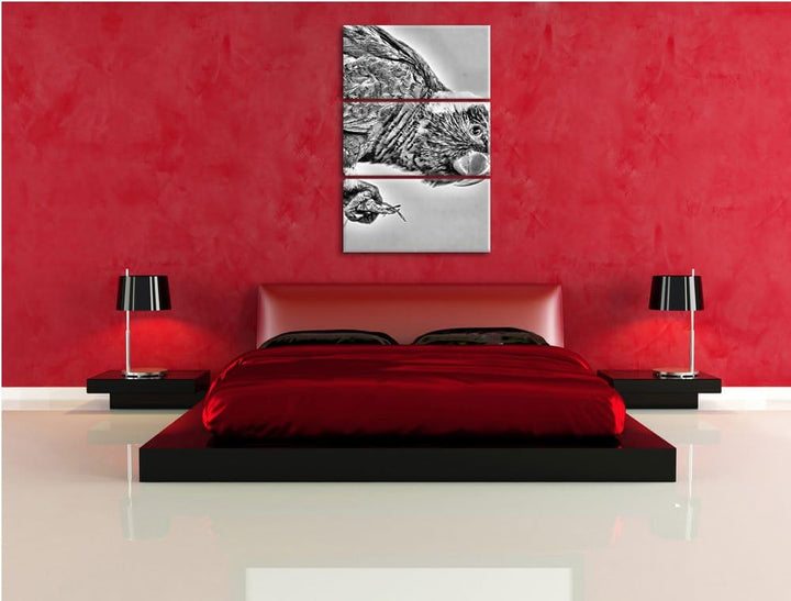 Pixxprint Edelpapagei auf AST als Leinwandbild/Grösse: 3 Teilig (120x80) cm/Wandbild/Kunstdruck/fert