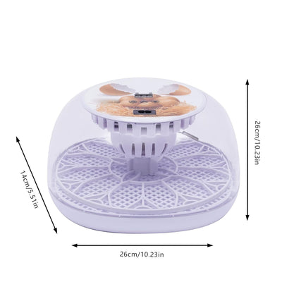 Eierinkubator, 12 Eier Inkubator Vollautomatisch Temperaturkontrolle Hatching Machine Automatischer