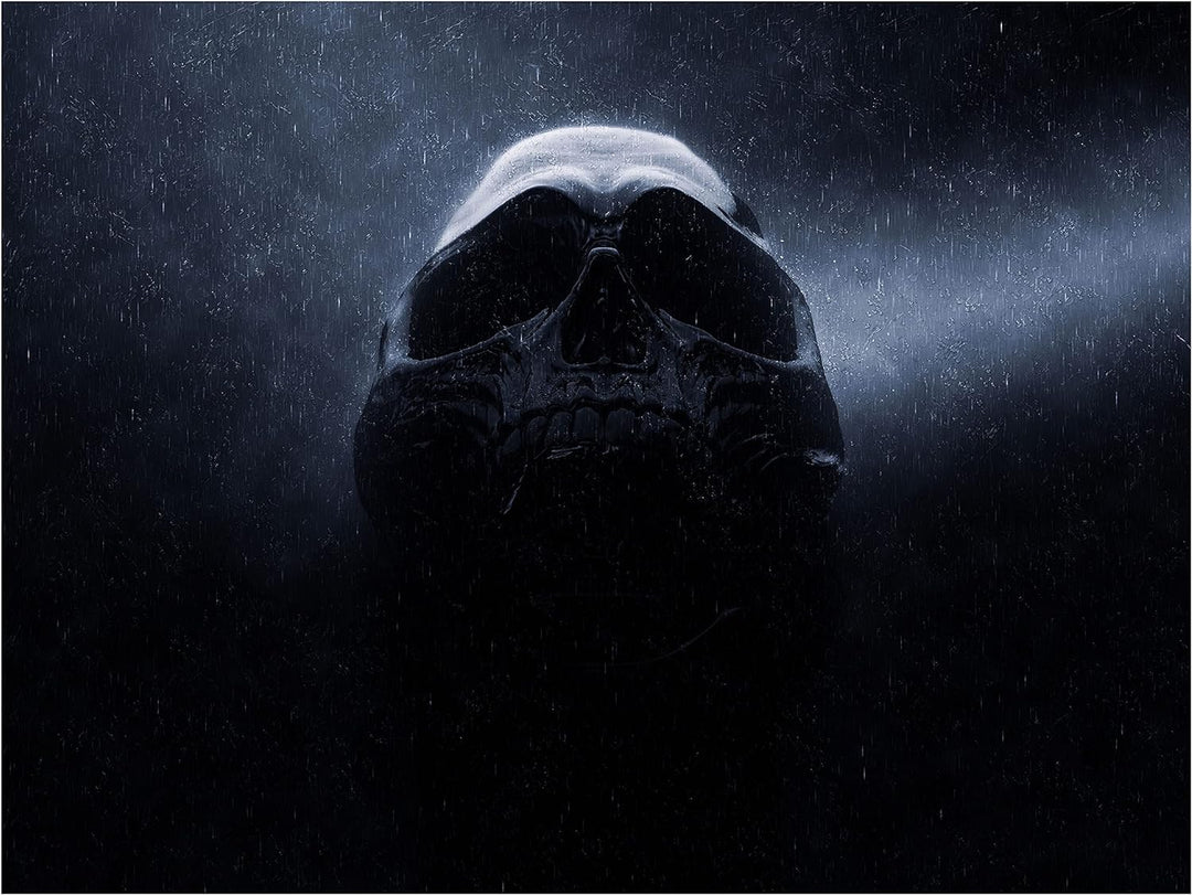 wandmotiv24 Totenkopf Wandbild aus Acrylglas, Grösse 100x75cm, Querformat, Schwarzer Schädel im Rege