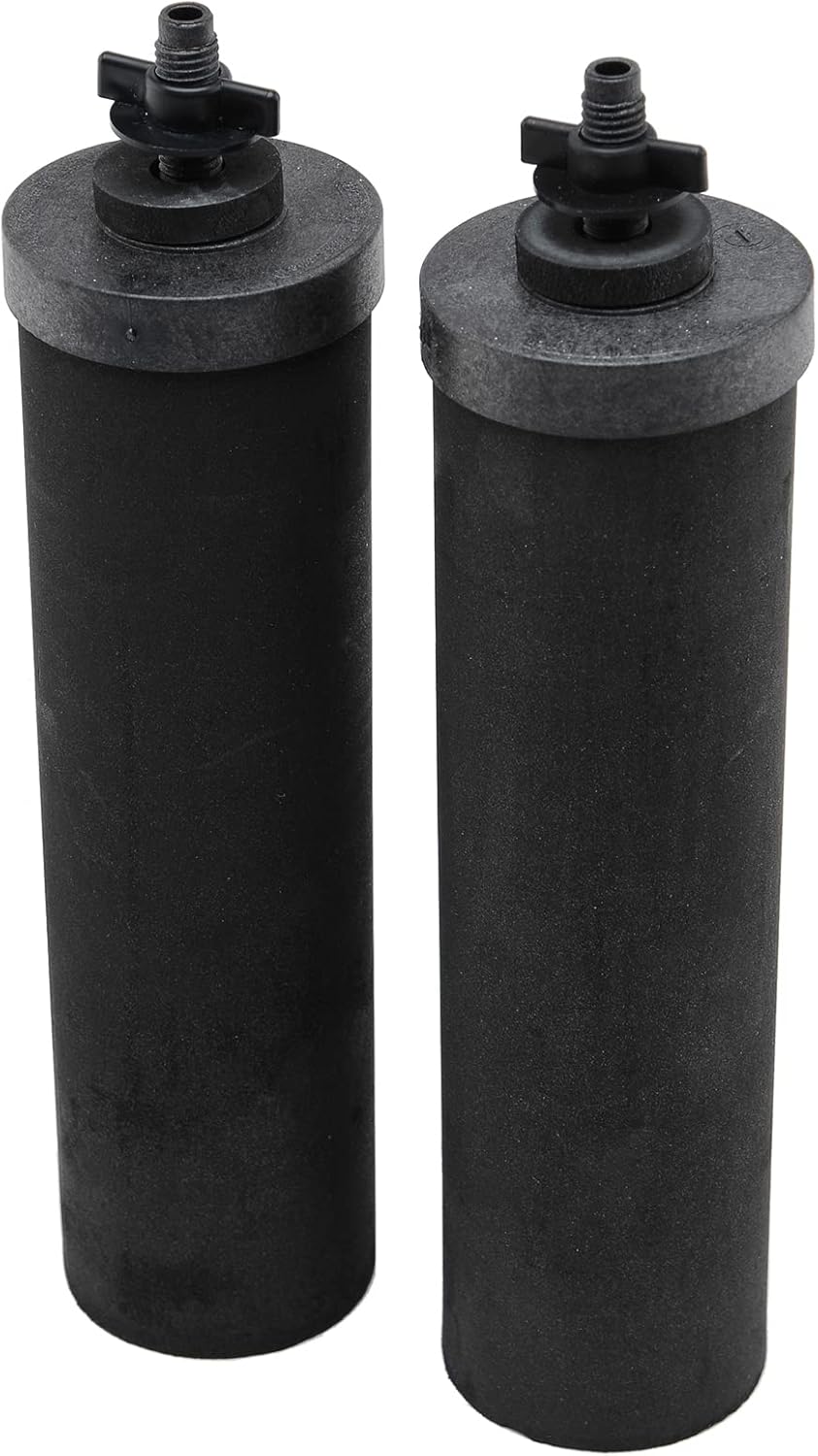 Berkey BK4X2-BB Big Berkey Stainless Steel Water Filtration System with 2 Black Filter Elements by