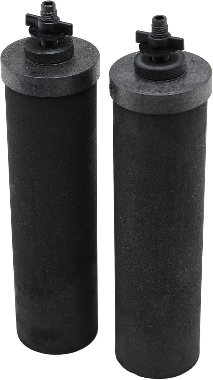 Berkey BK4X2-BB Big Berkey Stainless Steel Water Filtration System with 2 Black Filter Elements by
