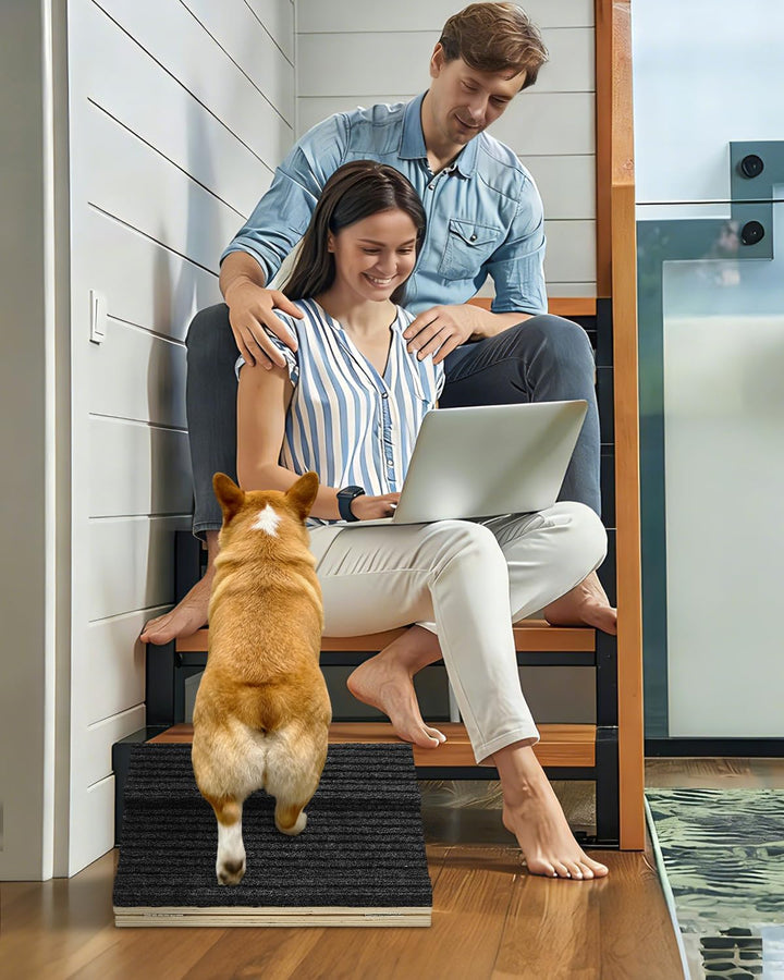 Okydoky Klappbare Hundetreppe Mit Block 40cm1Pack für kleine/mittlere Hunde & Katzen DB-40cm-1p, DB-