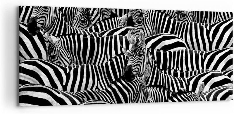 Panorama Bilder auf Leinwand 100x40cm Leinwandbild Tiere Zebra Streifen Gross Wanddeko Bild Schlafzi