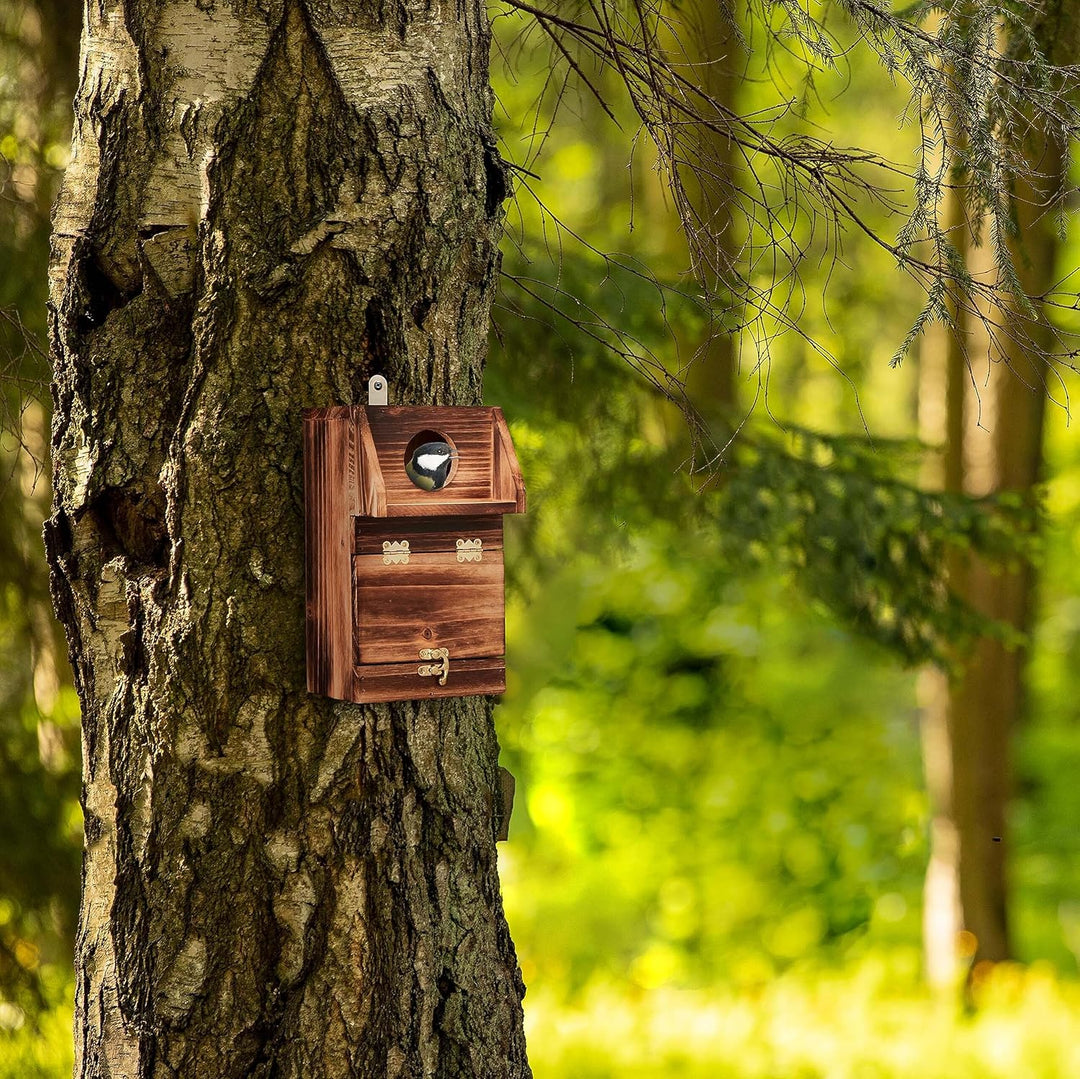 Relaxdays Nistkasten für Kohlmeise &amp; Gartenrotschwanz, mit Reinigungsklappe, Holz, Vogelnistkasten z