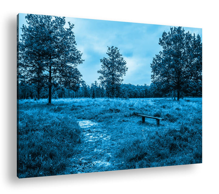 deyoli einsame Bank im Wald Format: 80x60 Effekt: Monocrome Blau als Leinwand, Motiv fertig gerahmt