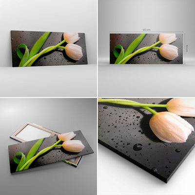 Wandbilder Dekoration Wohnzimmer Tulpen Blume Pflanzung Pflanze Panorama Bilder auf Leinwand 120x50c