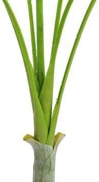artplants.de Künstliche Areca Palme Deluxe, getopft, 180cm, wetterfest - Areca Palme künstlich - Dek