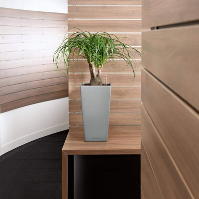 LECHUZA CUBICO Premium 22 anthrazit metallic 18463 22x22x41 cm Anthrazit Metallic, 22x22x41 cm Anthr