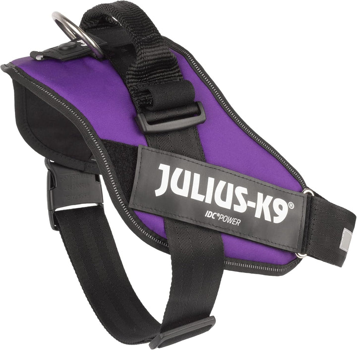 Julius-K9, IDC Powergeschirr, Grösse: XL/2, Dunkelviolett Lila XL/2, Lila XL/2