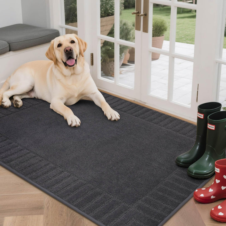 BEQHAUSE Fussmatte Innen, Schmutzfangmatte Waschbar 80 * 120 cm, Fussabtreter Innen Maschinenwaschba