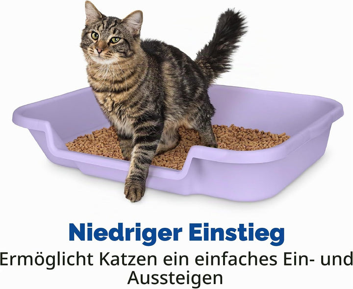 KittyGoHere Senior-Katzentoilette, niedriger Einstieg, komfortable Grösse, ideal für ältere und arth