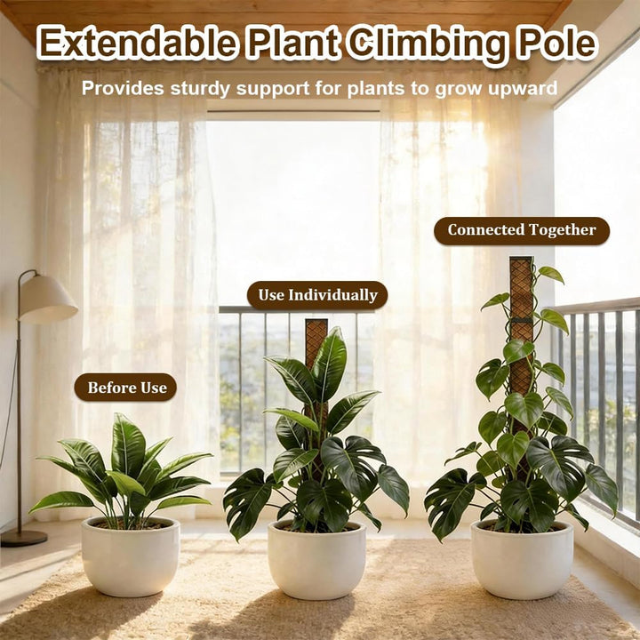 Moosstab für Monstera Rankhilfe Zimmerpflanzen, 4 Pcs Rankhilfe Monstera Pflanzstab Rankstäbe Plasti