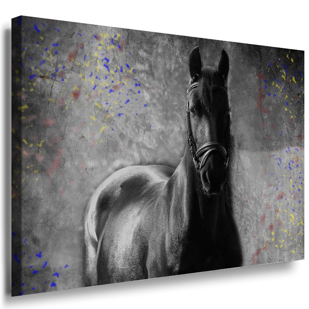 Julia-Art - Bilder Pferd Leinwand mit Keilrahmen 100 x 70 cm Leinwandbild XXL Wandbild Tiere Kunstdr