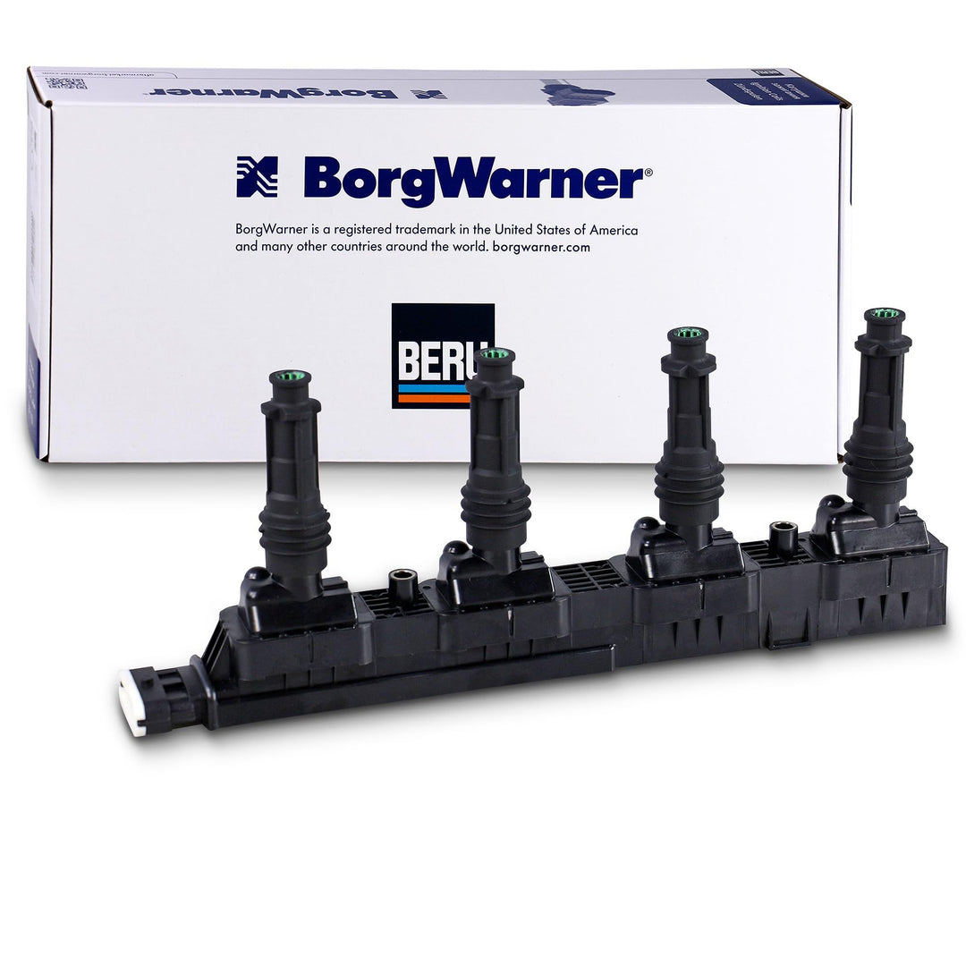Beru AG 0040100338 Zündspule