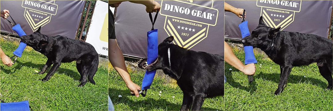 Dingo Gear Baumwolle-Nylon Beisswurst für Hundetraining K9 IGP IPO Obiedence Schutzhund Hundesport,