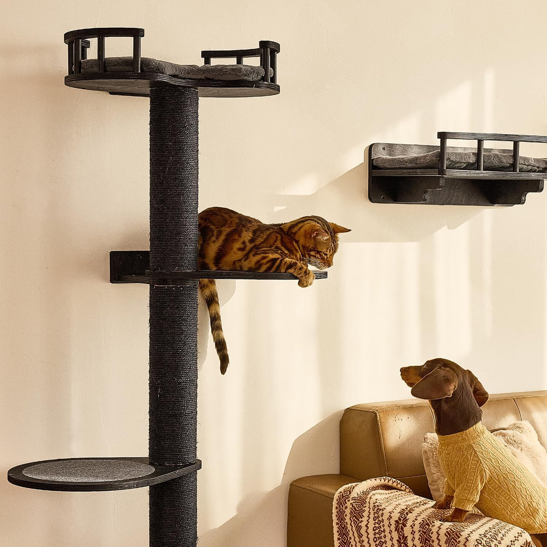FUKUMARU Kletterwand Katzen-Set, 4 in 1 stabiles Wandmöbel aus mehrschichtigem Holz mit Hängematte,