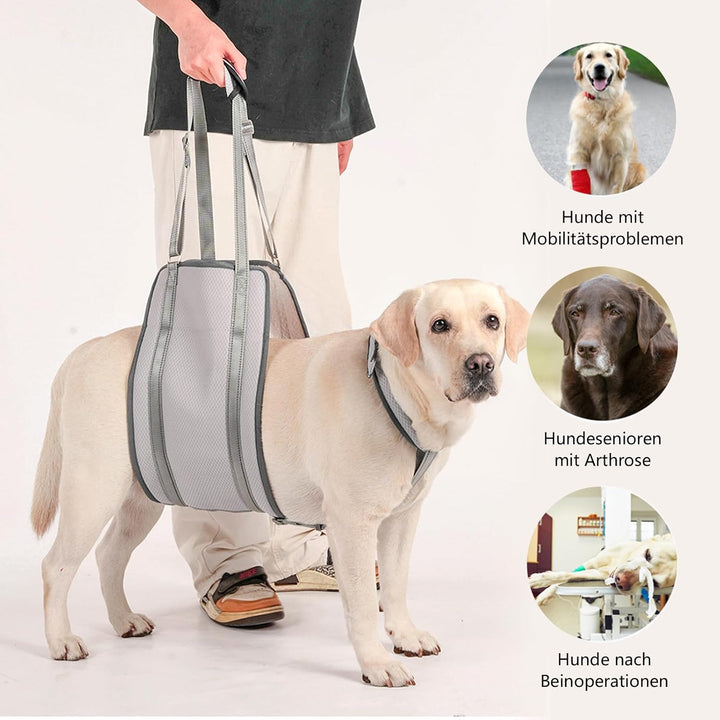 LUCKY LUCY Hundegeschirr mit Griff, Verstellbare Hunde-Tragehilfe für Hinterbeine & Nacken-Stütze, M