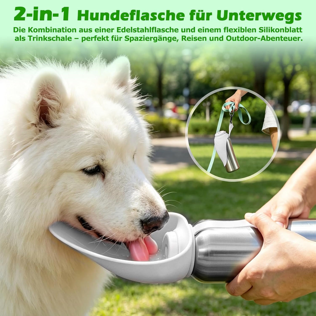 Nepfaivy Trinkflasche Hunde für Unterwegs Edelstahl 800ml - Auslaufsichere Hundetrinkflasche für Unt
