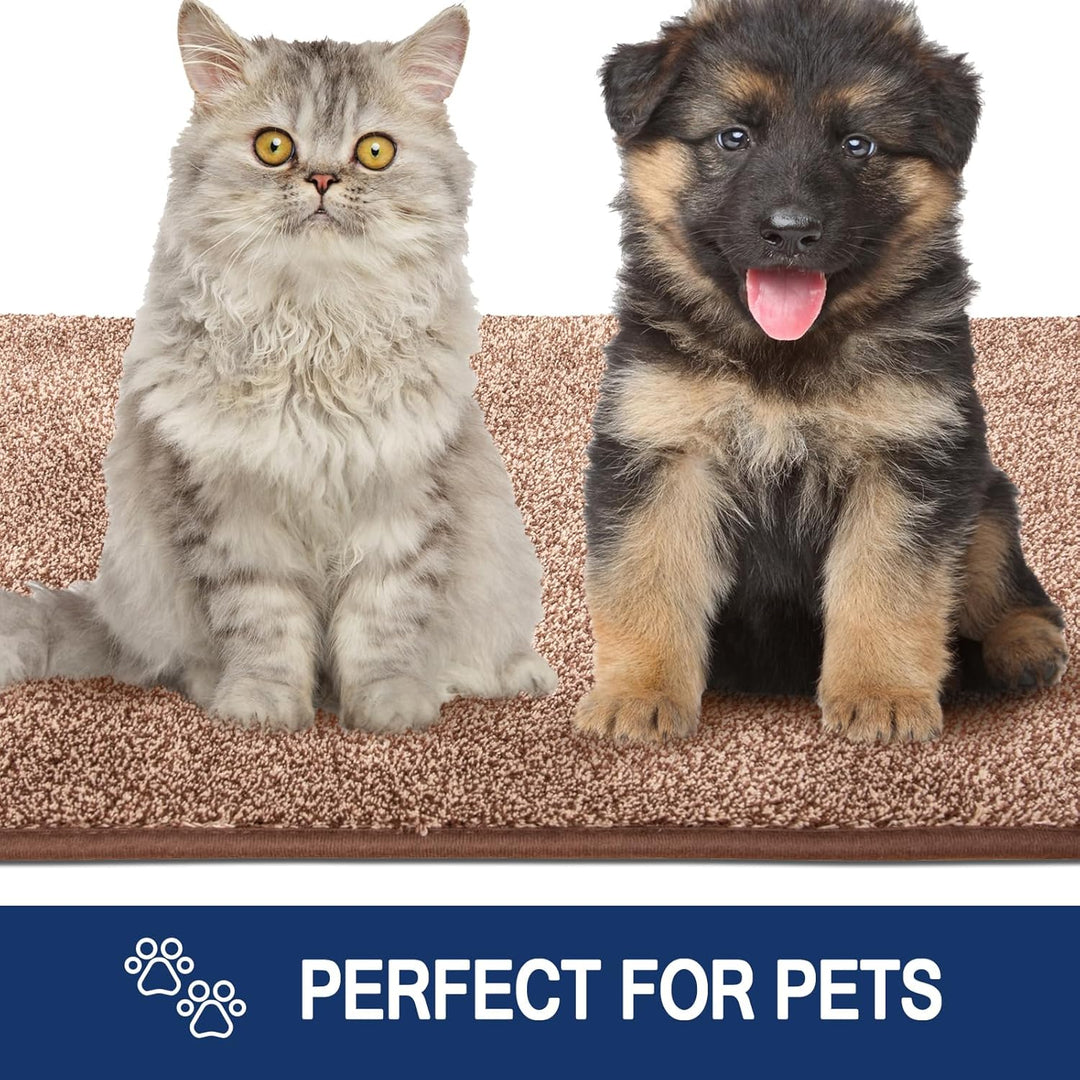 FCSDETAIL Schmutzfangmatte Innen 86 x 150 cm, rutschfeste Maschinenwaschbare Fussmatte, Sauberlaufma