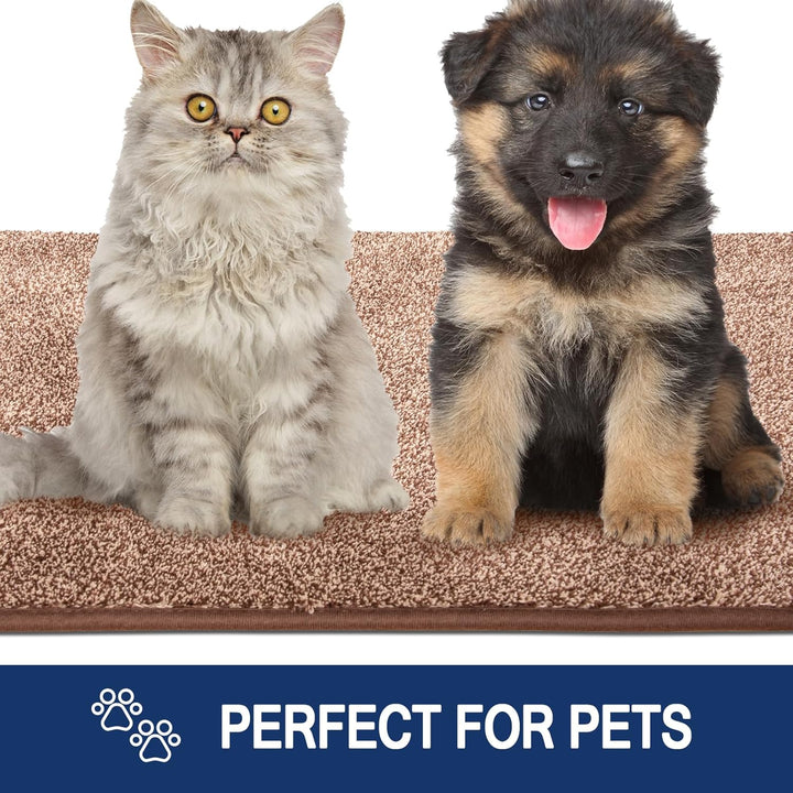 FCSDETAIL Schmutzfangmatte Innen 86 x 150 cm, rutschfeste Maschinenwaschbare Fussmatte, Sauberlaufma