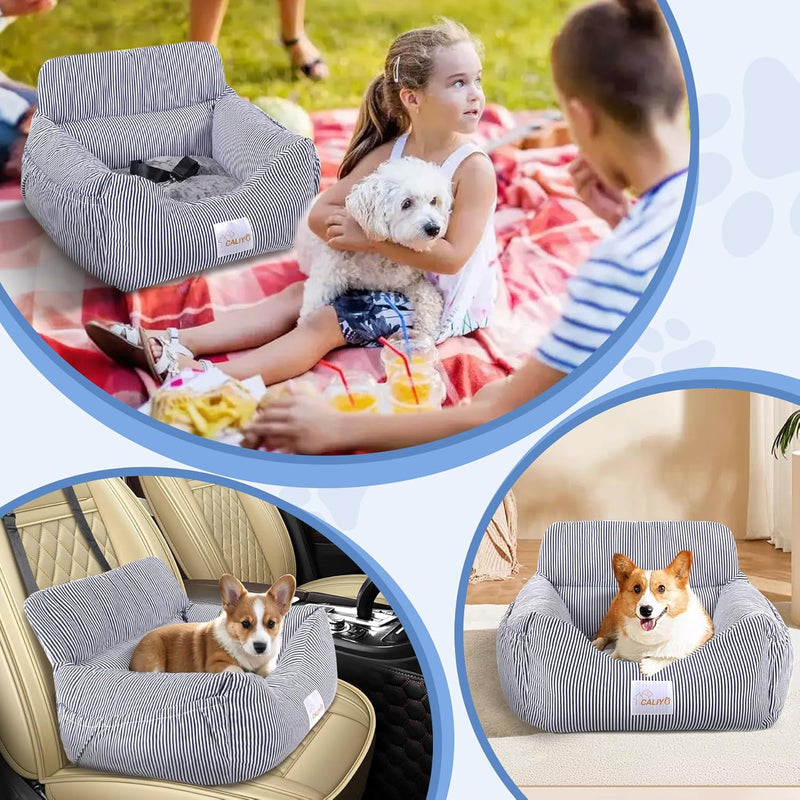 CALIYO Hunde Autositz, Sicherheitsgurt - Waschbarer Autositz Hund in Blau/Weiss für Kleine, Mittlere