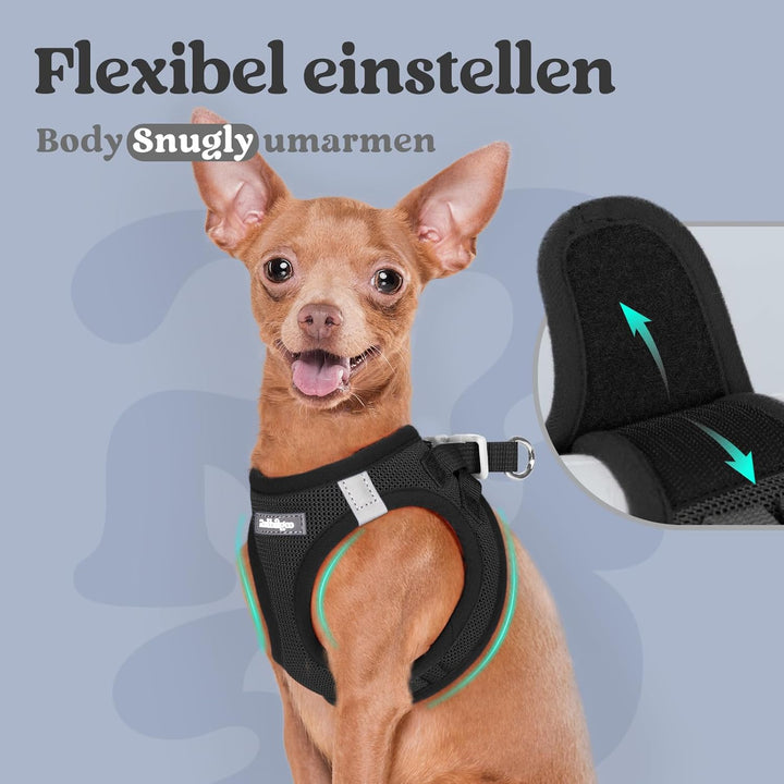 rabbitgoo Hundegeschirr Kleine Hunde, Step-in Welpengeschirr Weich Mesh für Spaziergänge, Atmungsakt