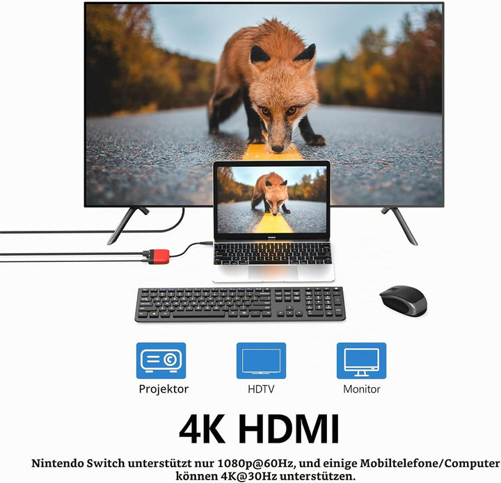 Switch TV Dock für Nintendo Switch/OLED, 3 in 1 Switch Portable Dock mit 4K HDMI, USB 3.0 Port, Type