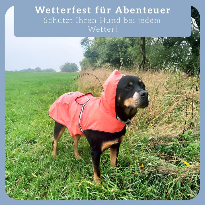 Bella & Balu Hunderegenmantel wasserdicht mit Kapuze und Reflektoren für sichere Gassigänge, Hundesp