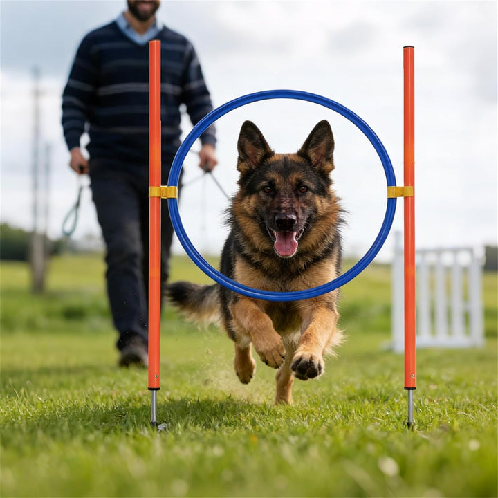 Agility Set Hunde Agility Reaktionstraining Ausrüstung für Hundetraining Hundesport mit Hundetunnel,
