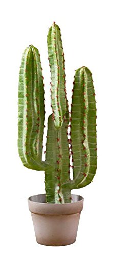 Moderner Kaktus im Topf - Grosser Kunstkaktus/Künstlich - Höhe 70cm - Premium Kunstpflanze - Sukkule