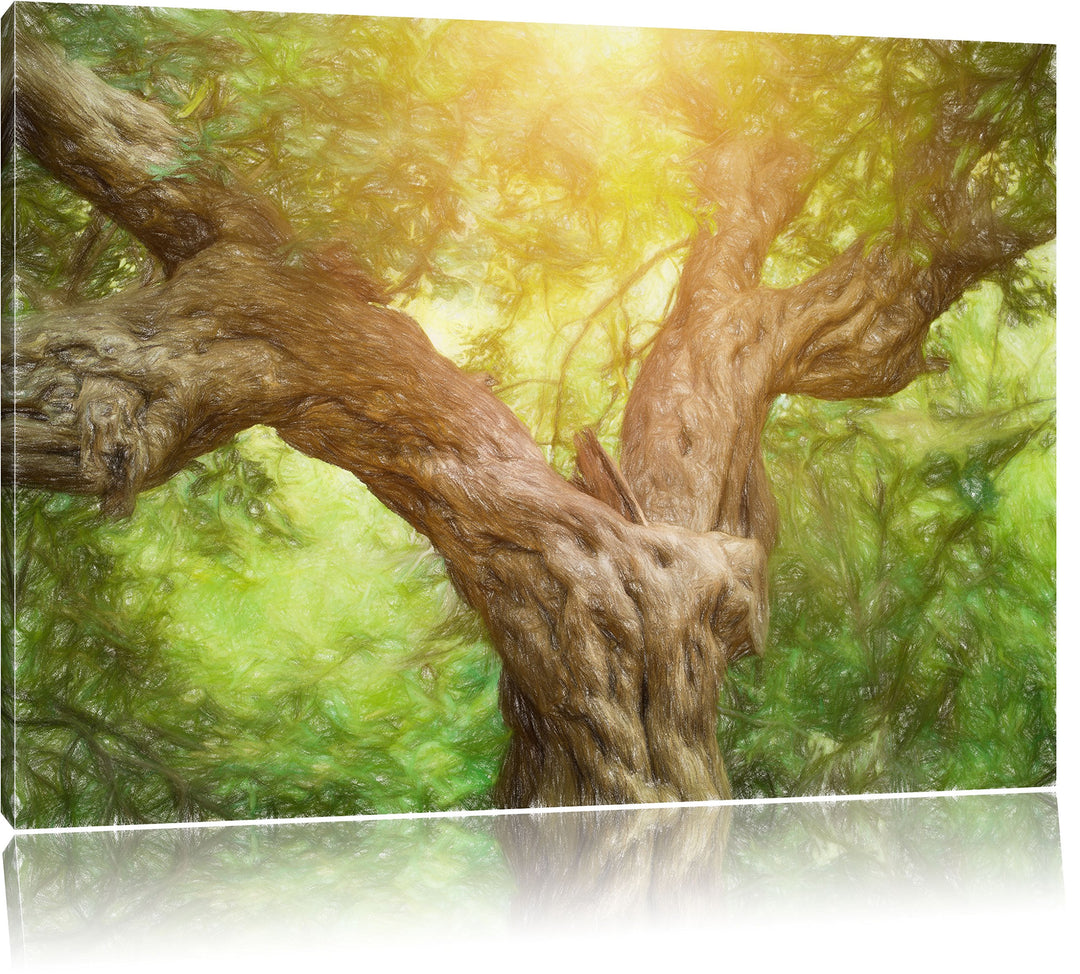Pixxprint Mächtiger Baum im Wald Kunst Buntstift Effekt, Format: 100x70 auf Leinwand, XXL riesige Bi