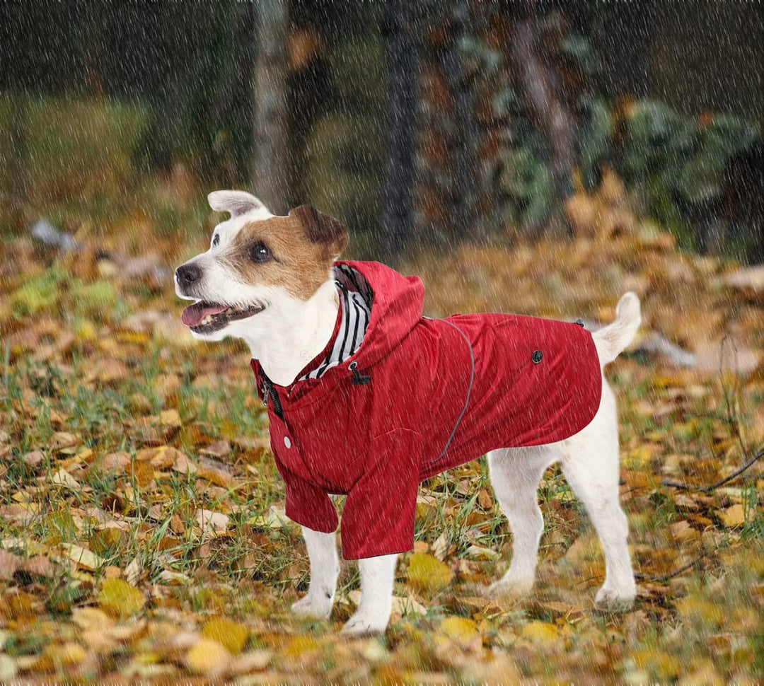 Pethiy Premium Hunde Regenmantel,Regenjacken für Hunde,wasserdicht Hundemantel mit Reissverschluss,H