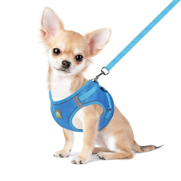 FEimaX Hundegeschirr mit Leine für Kleine Mittele Hunde Katzen Weich Mesh Welpengeschirr Atmungsakti